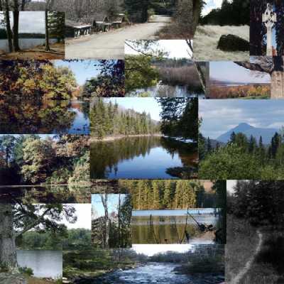 Custom Photos by EEHealy